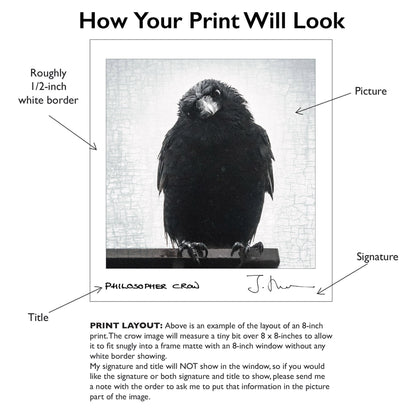 STRATEGIST CROW - Fine Art Print, Crow Portrait Series