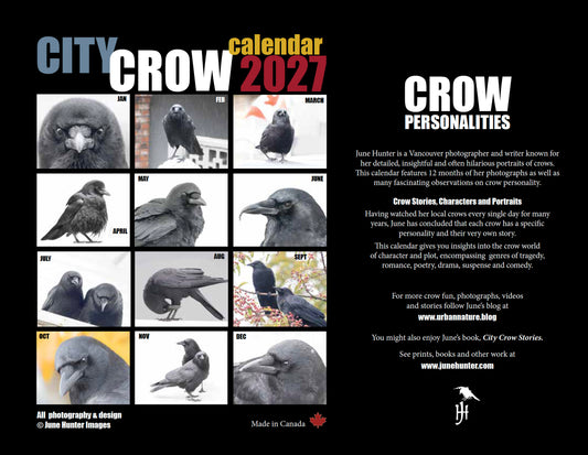 CITY CROW CALENDAR 2027 — Wall Calendar