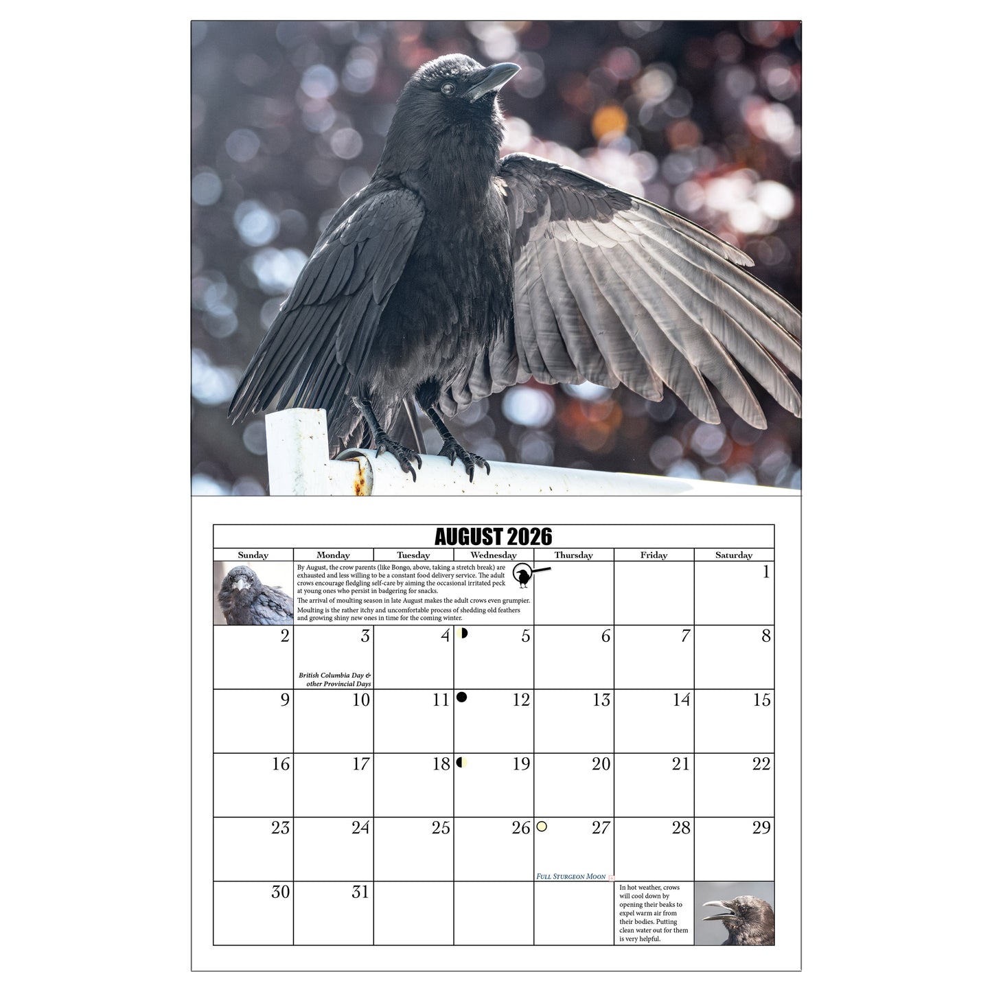City Crow Calendar