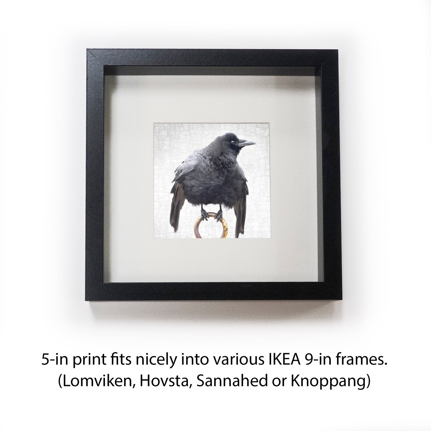CEREMONIAL CROW - Fine Art Print, Crow Portrait Series