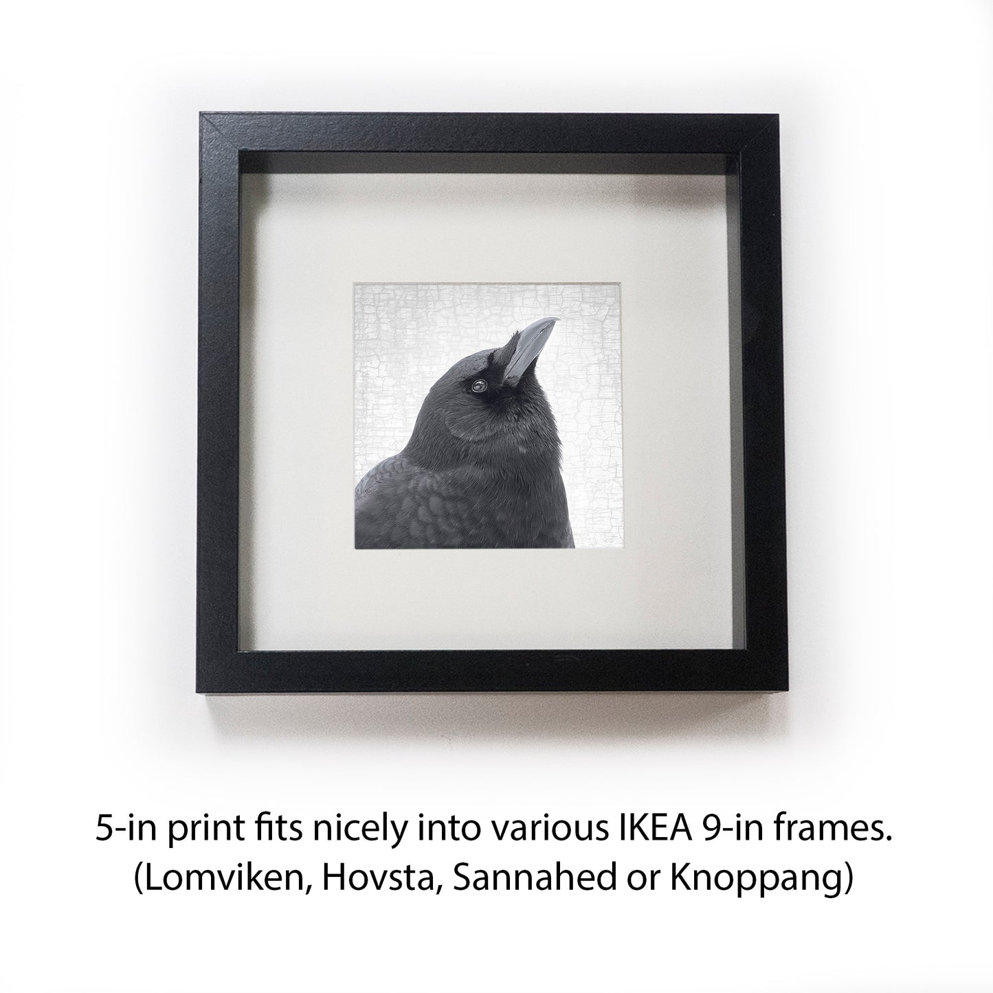 BE ALERT - Fine Art Print, Crow Portrait Series