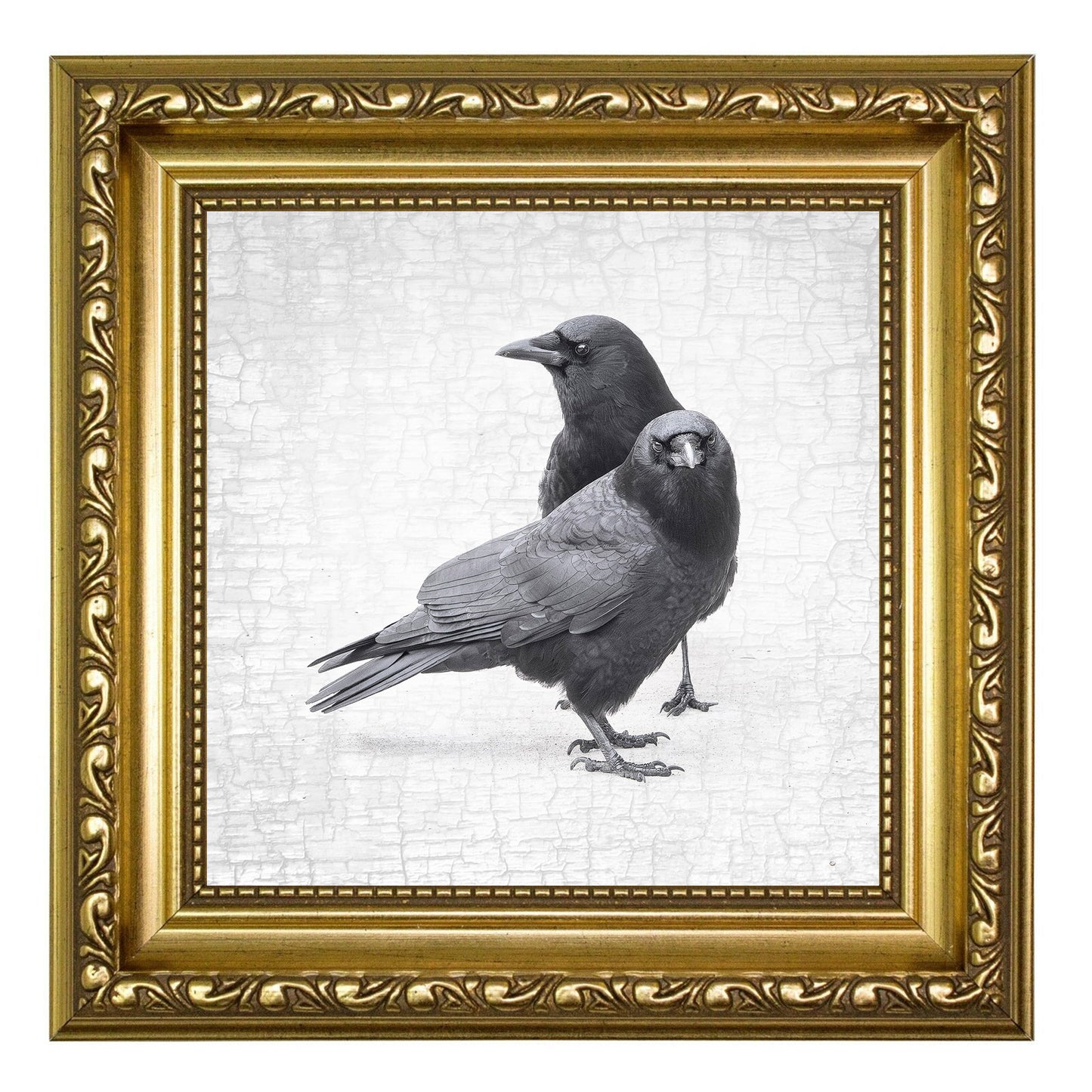 CROW LOVE - Fine Art Print, Crow Portrait Series
