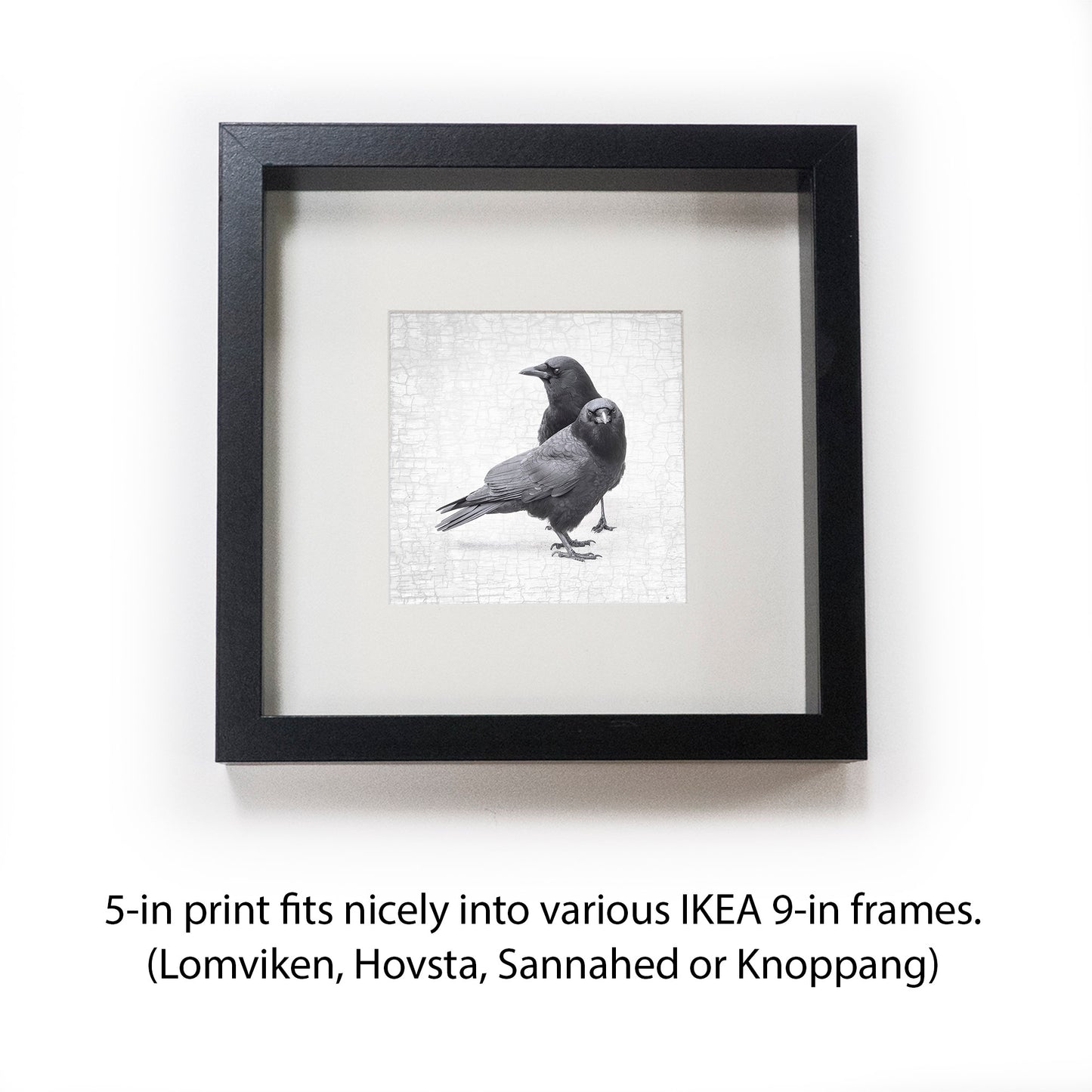 CROW LOVE - Fine Art Print, Crow Portrait Series