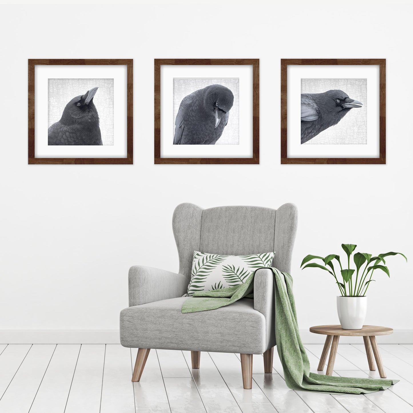 CROW COMMENTARY - Fine Art Print, Crow Portrait Series