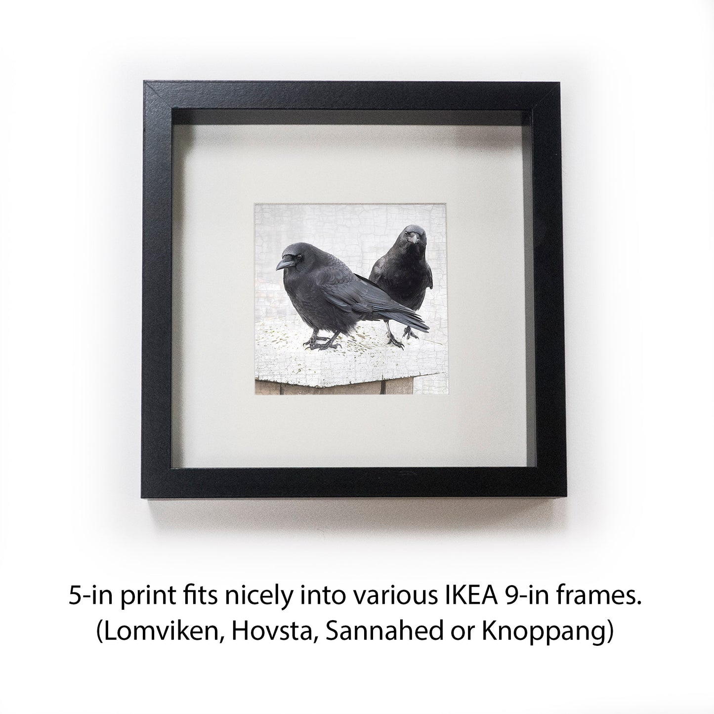 STRONGER TOGETHER - Fine Art Print, Crow Portrait Series