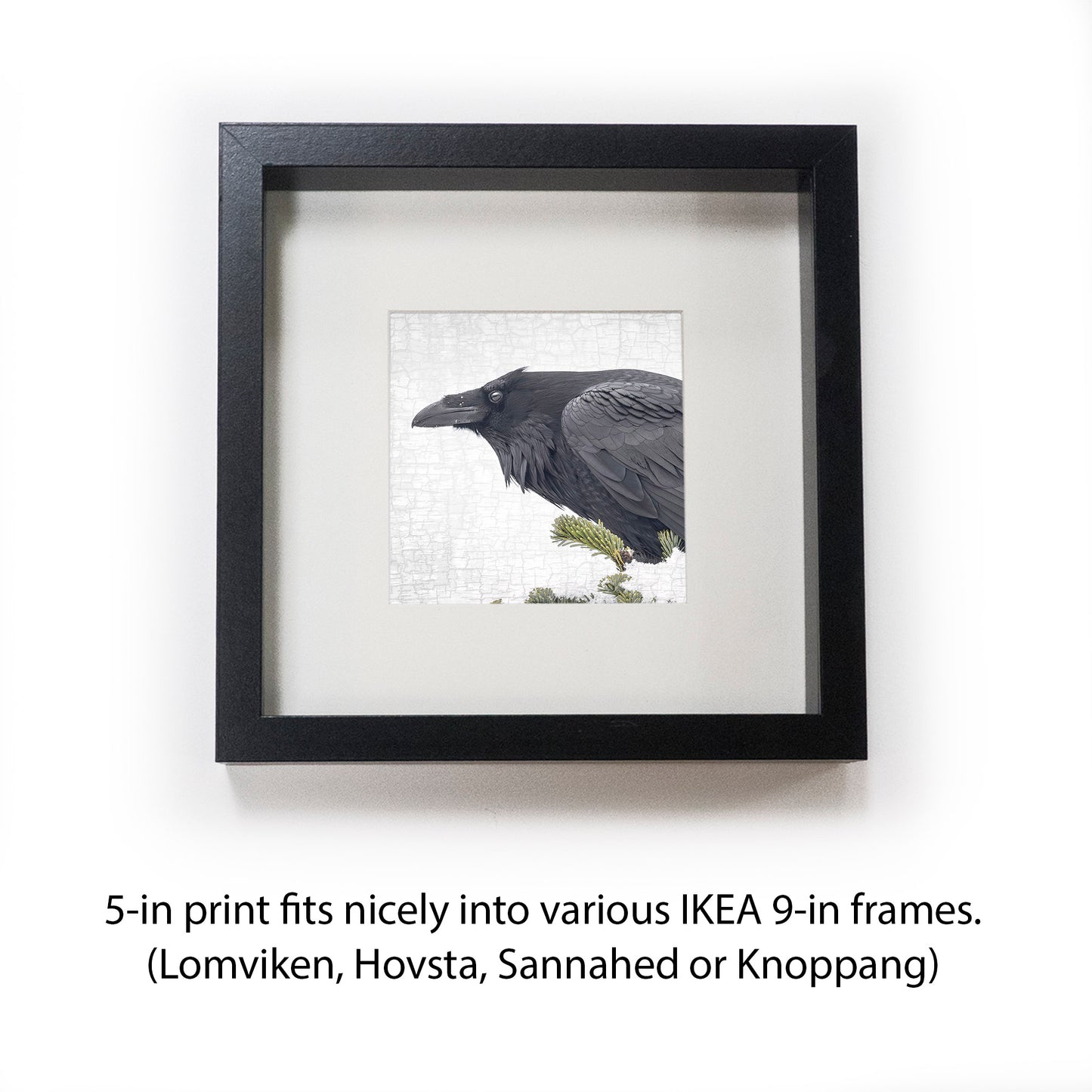 ENTER RAVEN, STAGE RIGHT - Fine Art Print, Raven Portrait Series