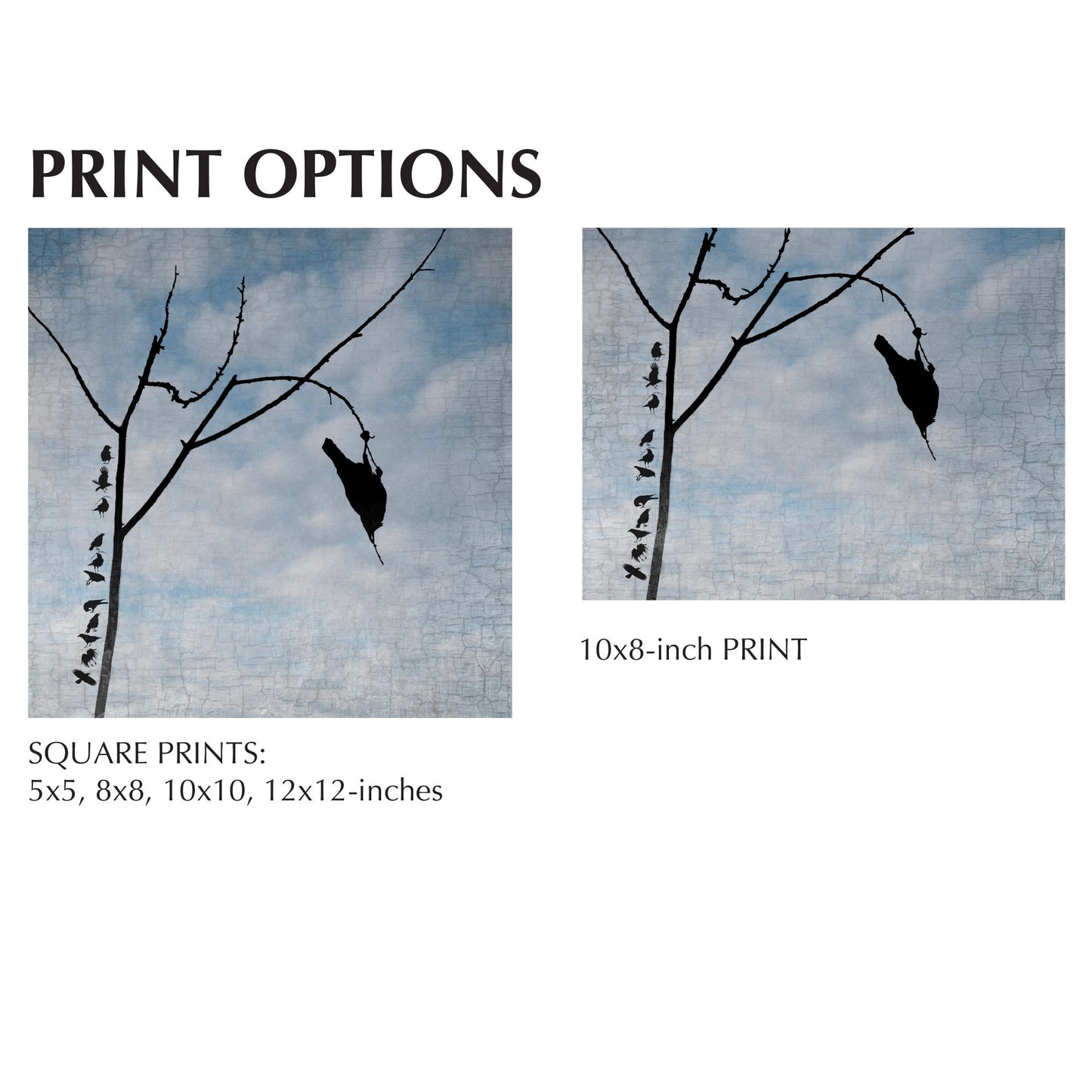 FUN AND GAMES - Fine Art Print, Blue Crow Series