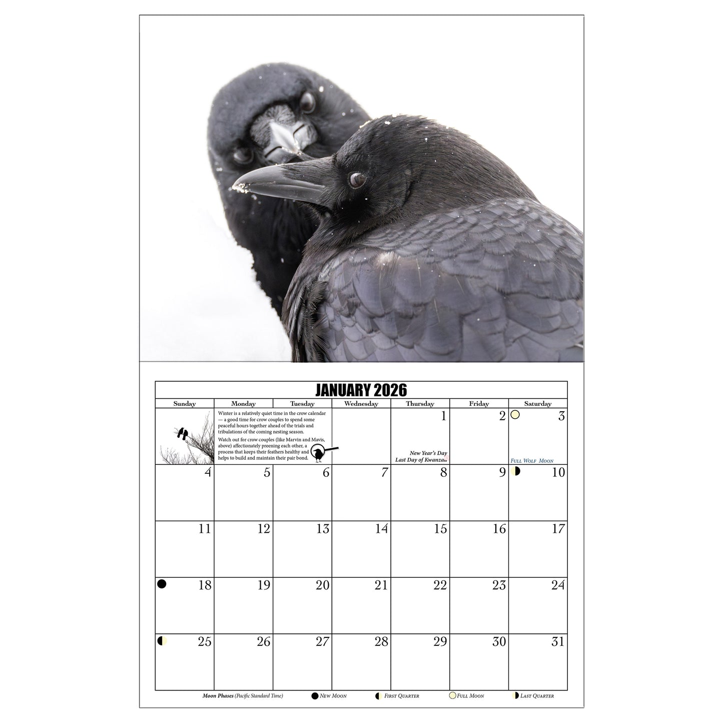 City Crow Calendar