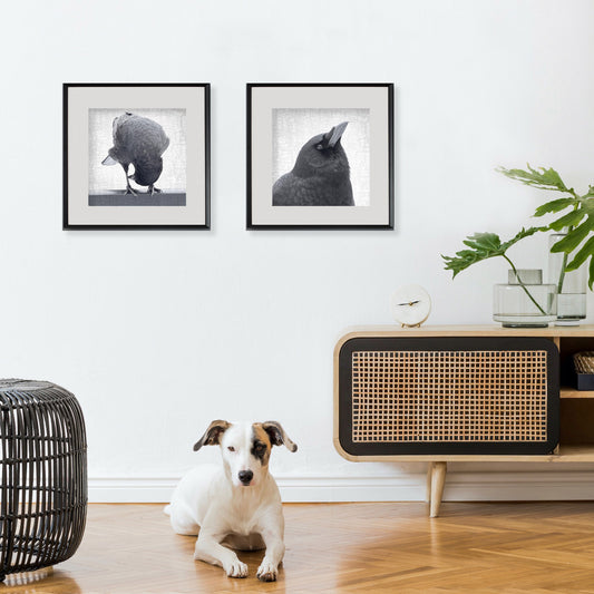NEW PERSPECTIVES - Fine Art Print, Crow Portrait Series