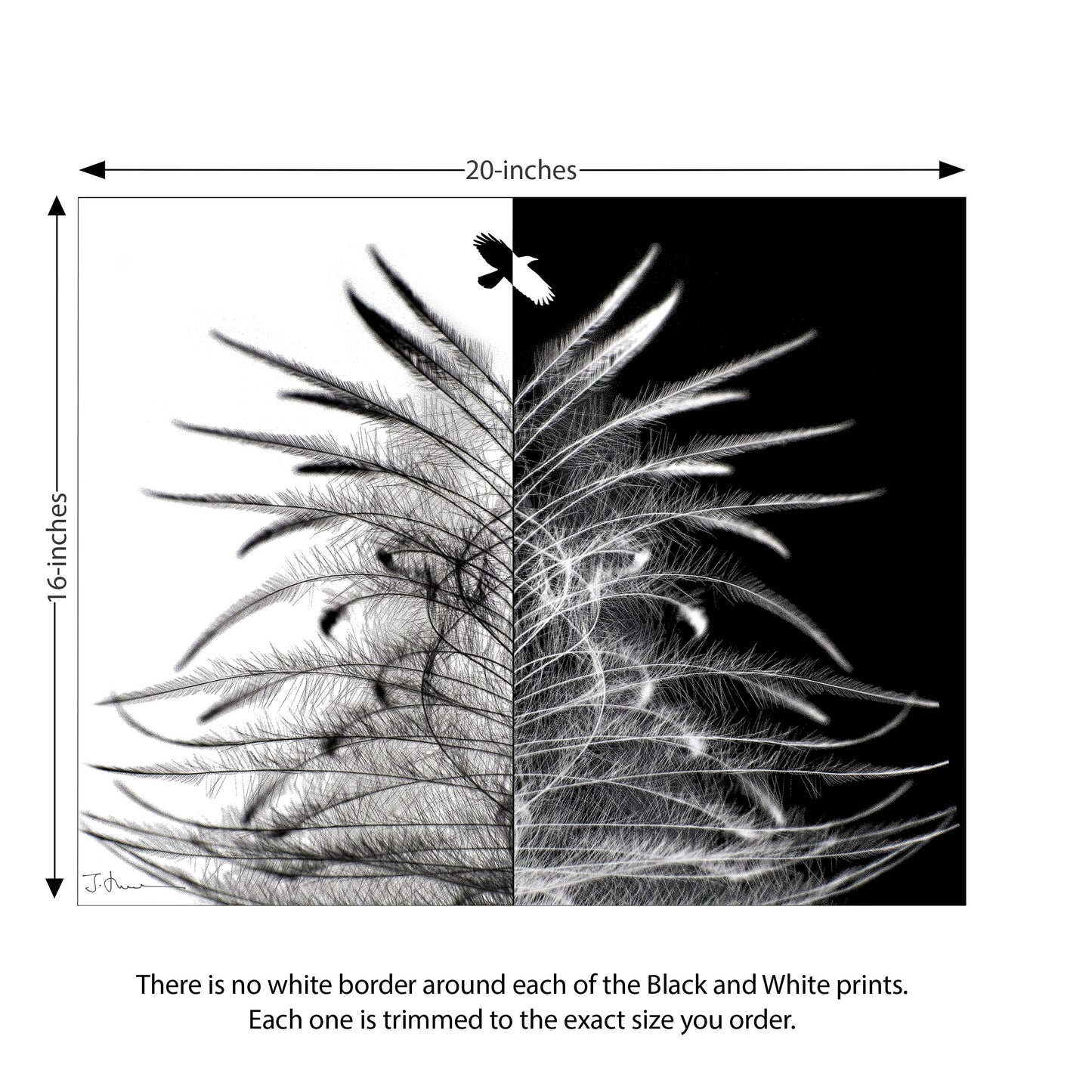 HOPE IS THE THING — Black & White Print