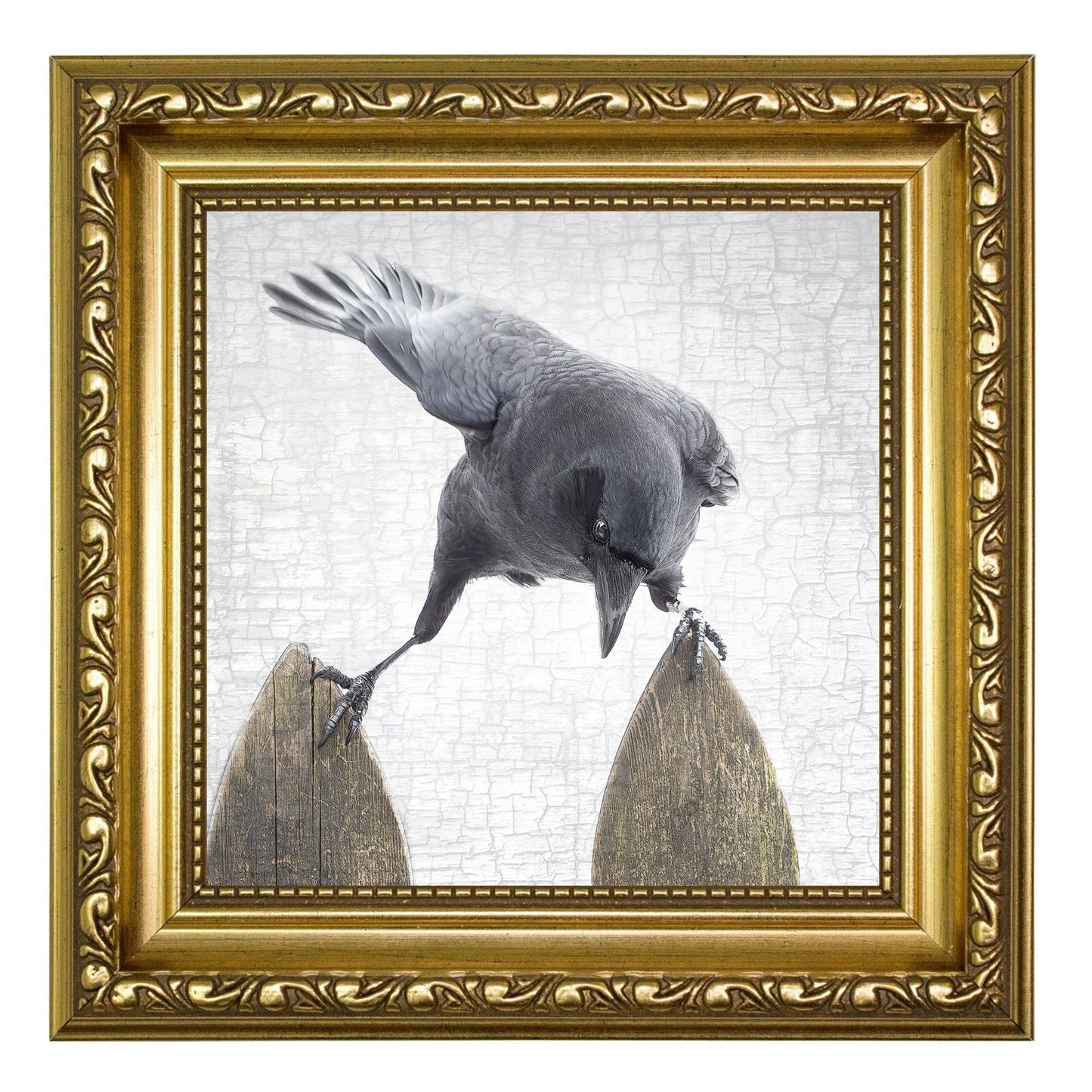 RISKY BUSINESS - Fine Art Print, Crow Portrait Series