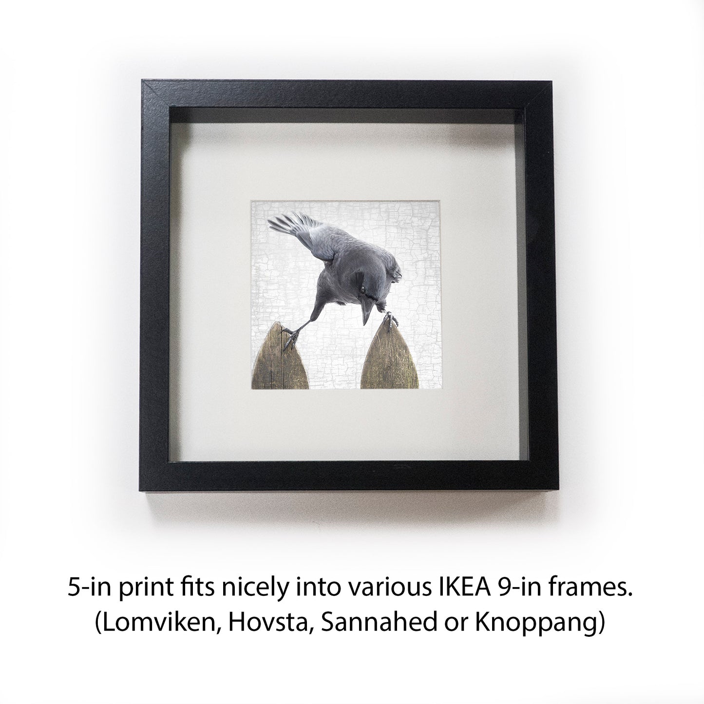 RISKY BUSINESS - Fine Art Print, Crow Portrait Series