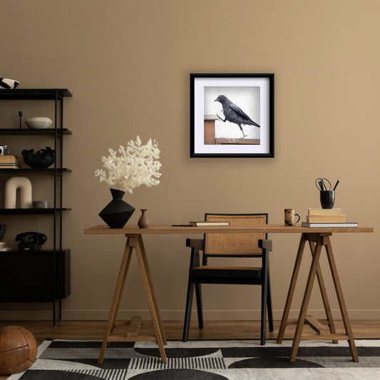 STEP UP - Fine Art Print, Crow Portrait Series