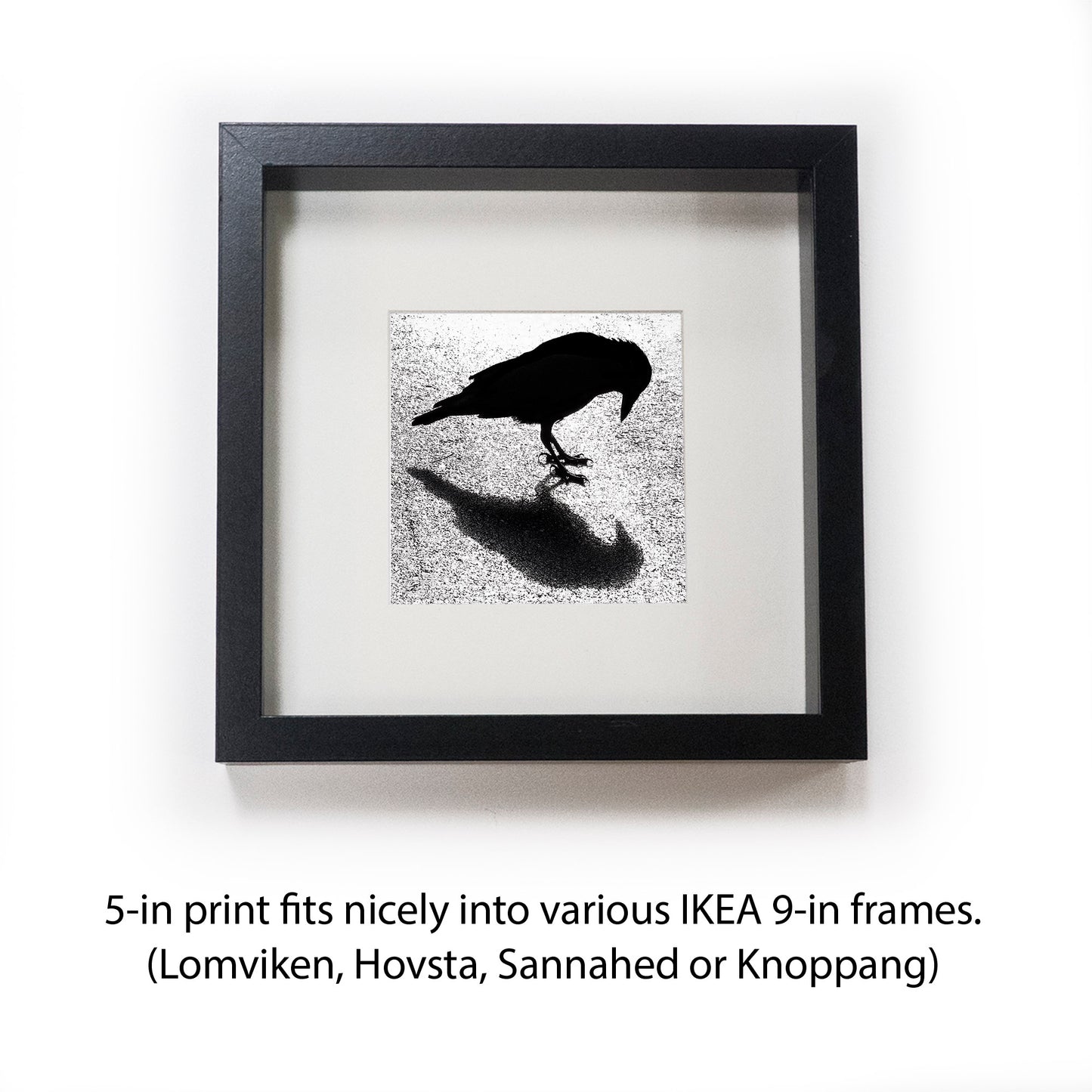 SYMMETRY - Fine Art Print, Crow Portrait Series