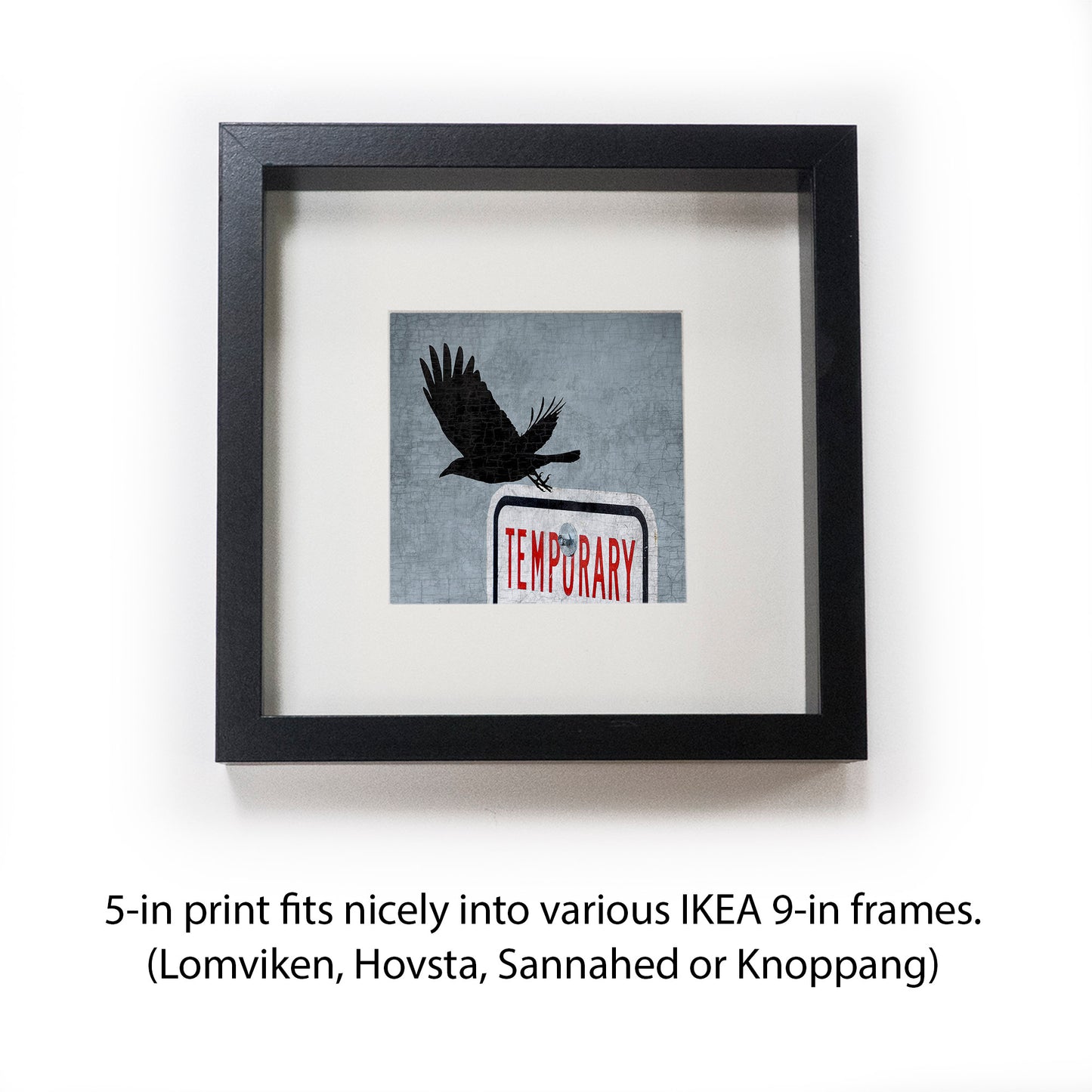 TEMPUS FUGIT - Fine Art Print, Blue Crow Series