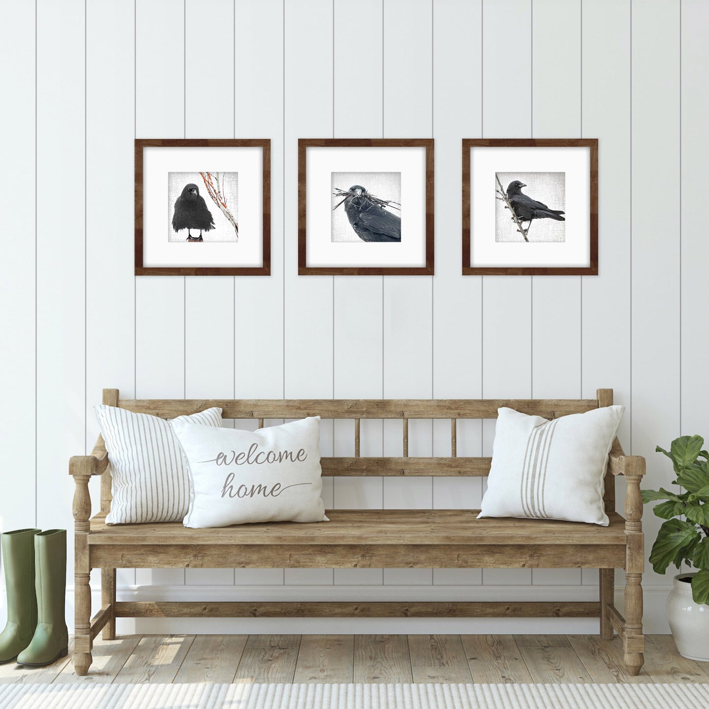 NESTING SEASON - Fine Art Print, Crow Portrait Series
