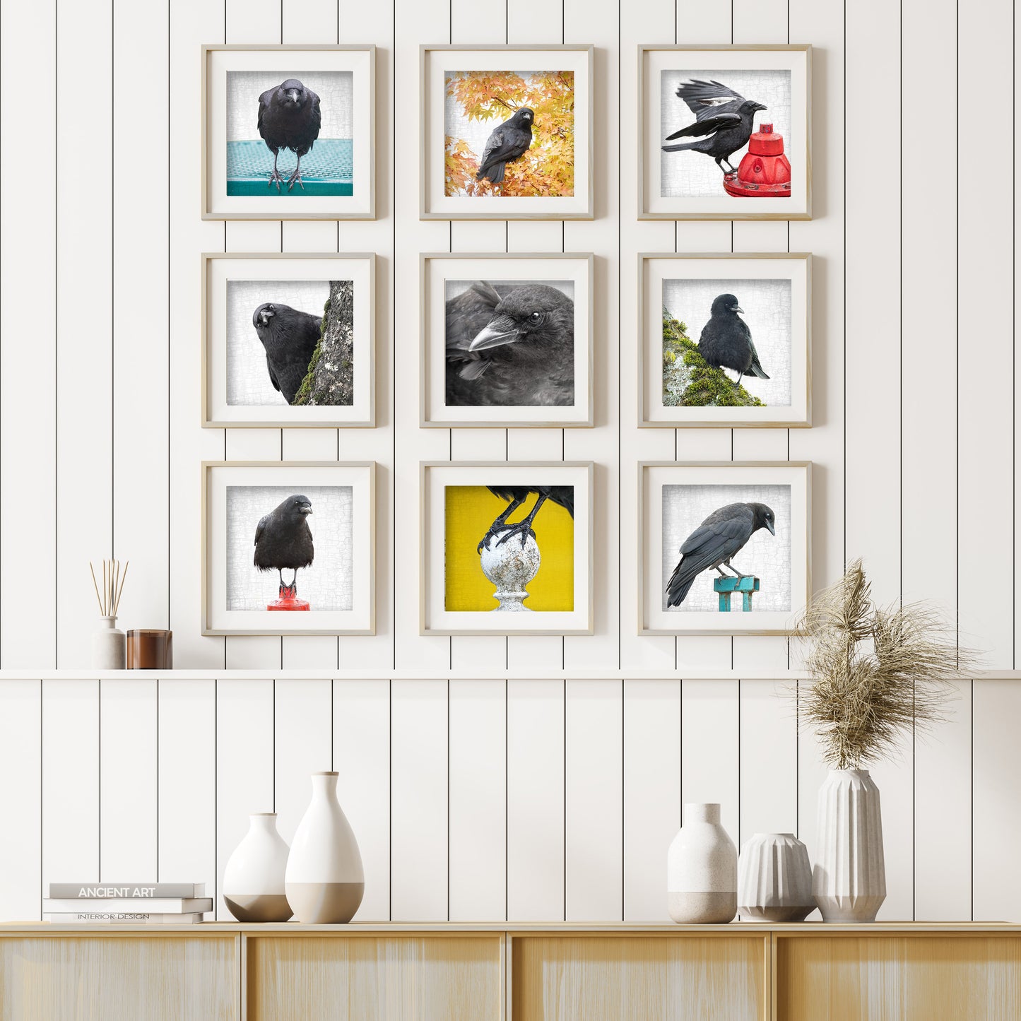 FIRST SUMMER - Fine Art Print, Crow Portrait Series