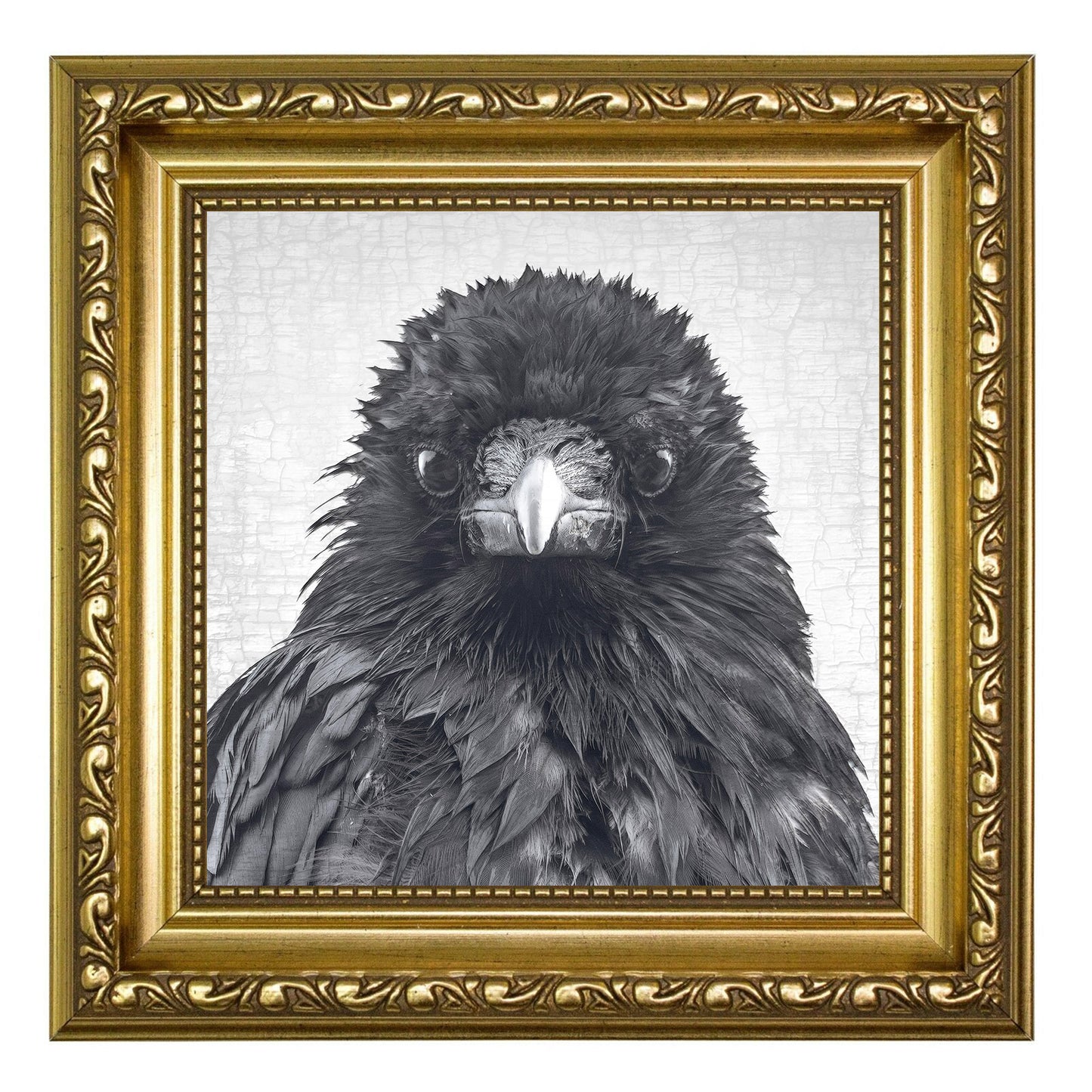 CRITICAL THINKER - Fine Art Print, Crow Portrait Series