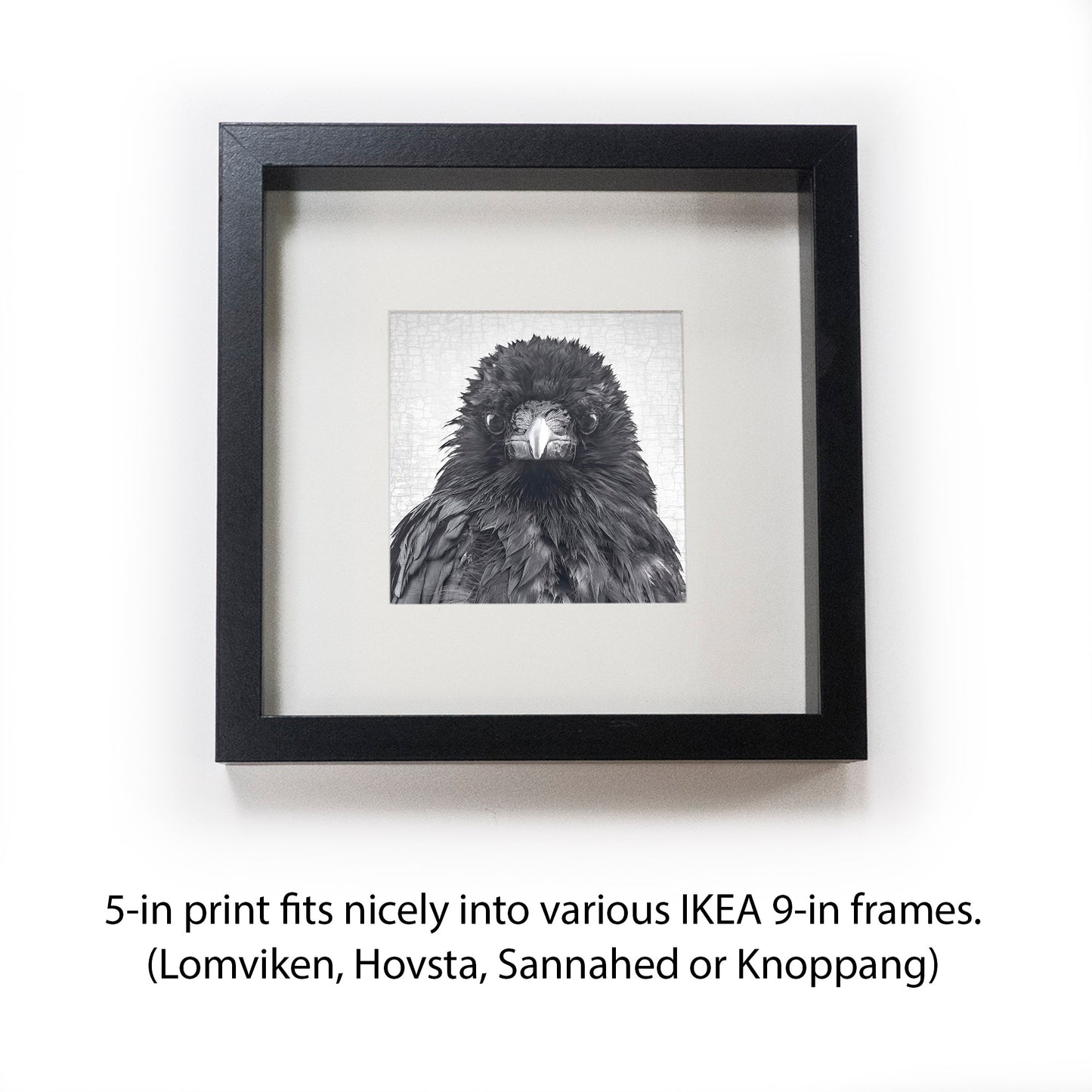 CRITICAL THINKER - Fine Art Print, Crow Portrait Series