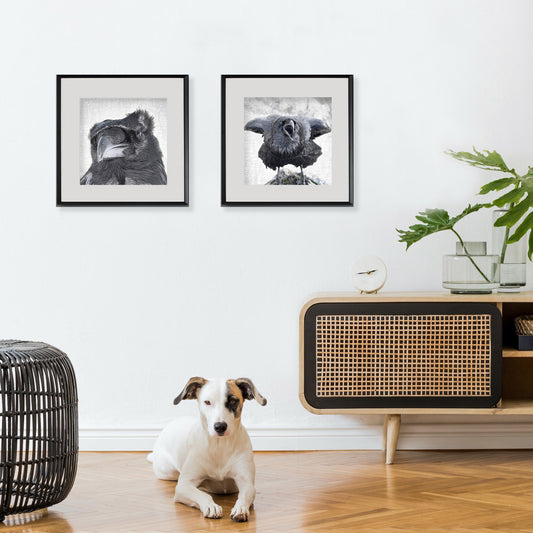 ELBOWS UP - Fine Art Print, Raven Portrait Series
