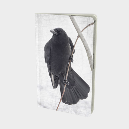 HANG IN THERE - Small Notebook by June Hunter