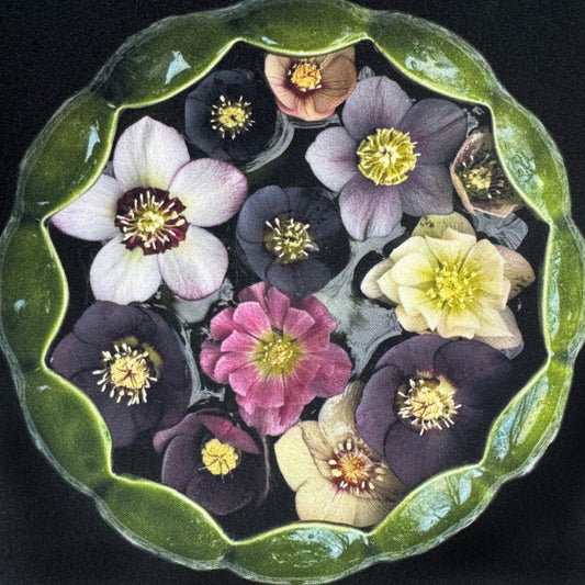 HELLEBORE BOWL Mouse Pad