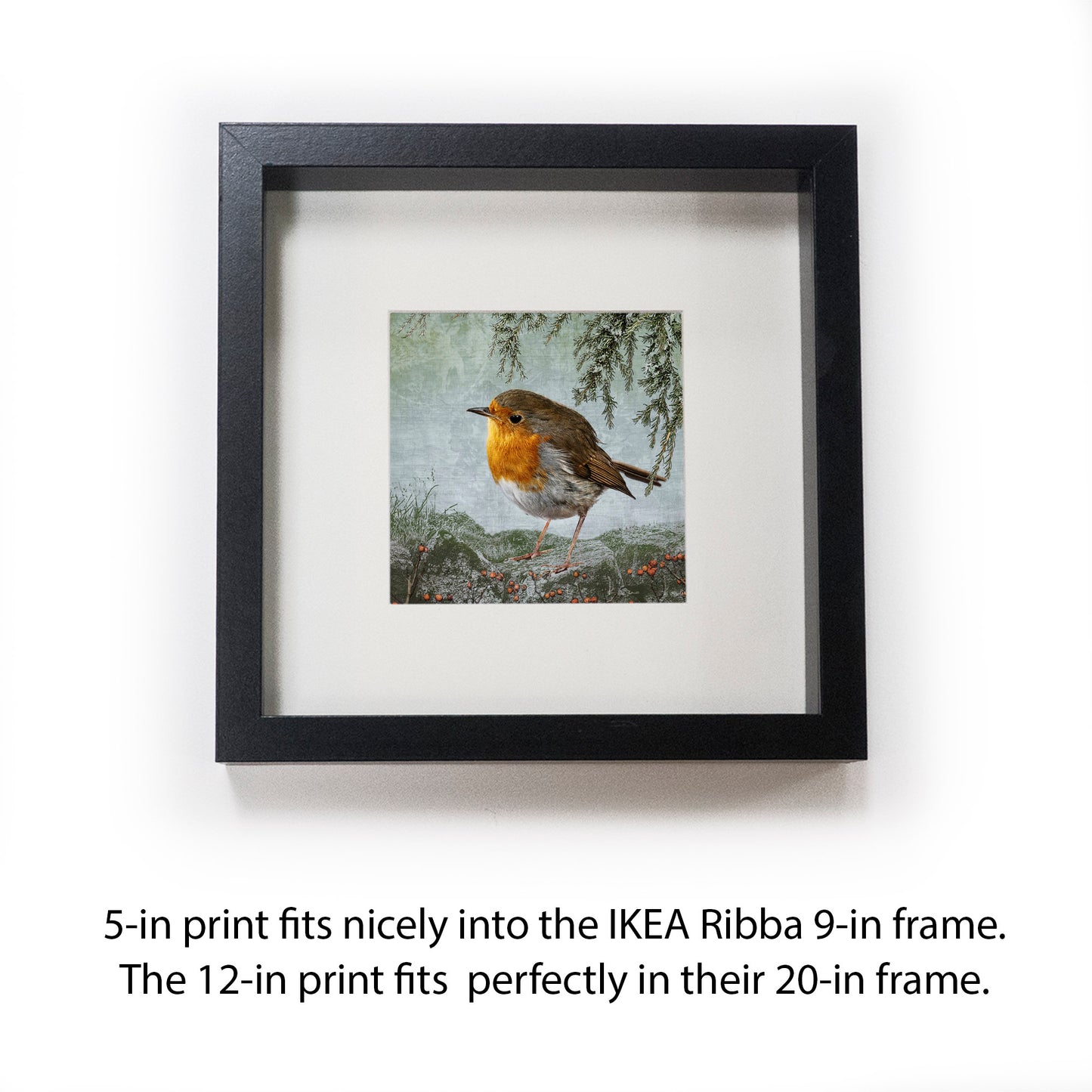 "THINKING OF HOME" ROBIN - Fine Art Print, Garden Birds Series