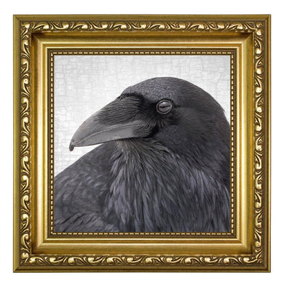 RAVEN LANDSCAPE - Fine Art Print, Raven Portrait Series