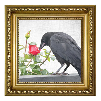 ROSE GARDEN CROW - Fine Art Print, Crow Portrait Series