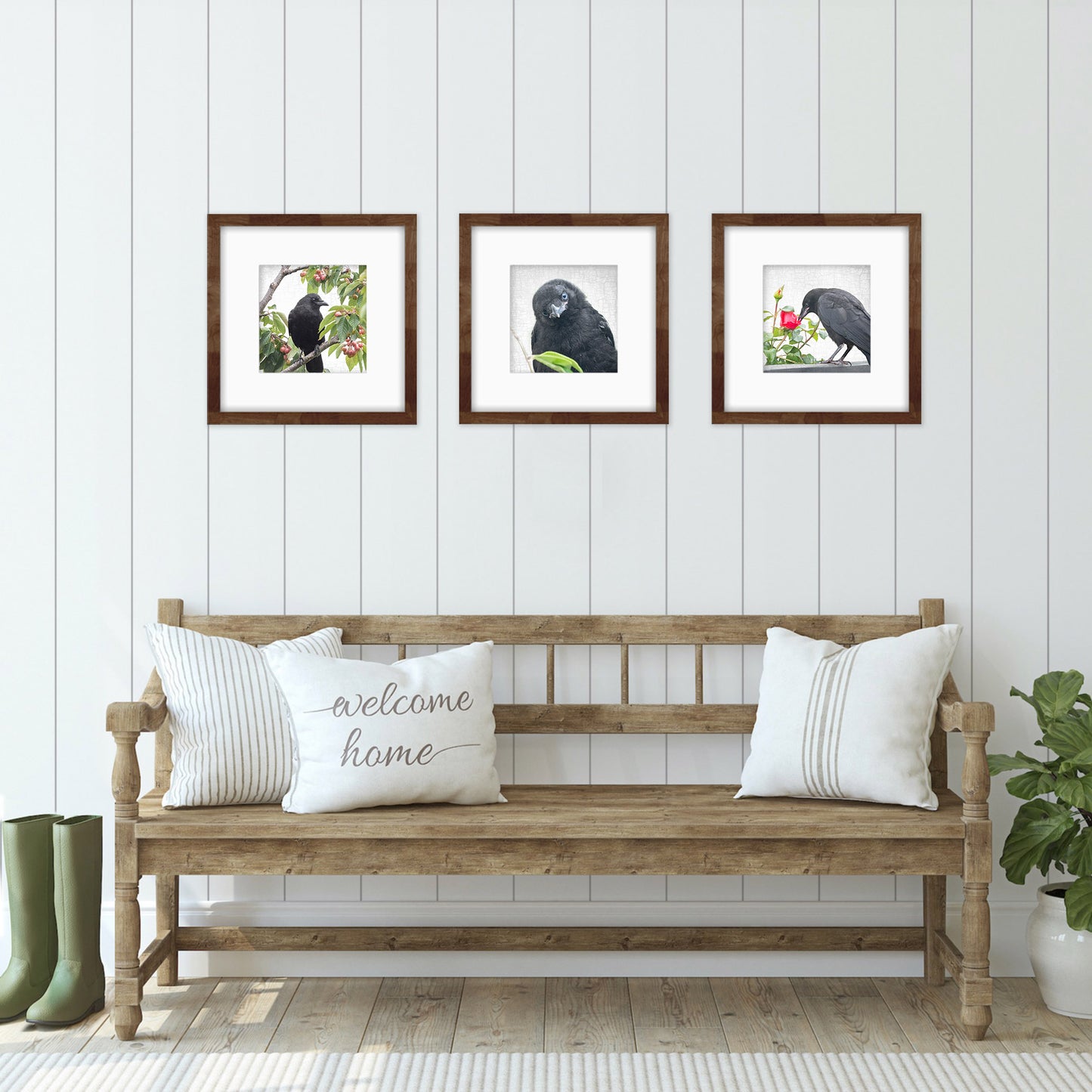 ROSE GARDEN CROW - Fine Art Print, Crow Portrait Series