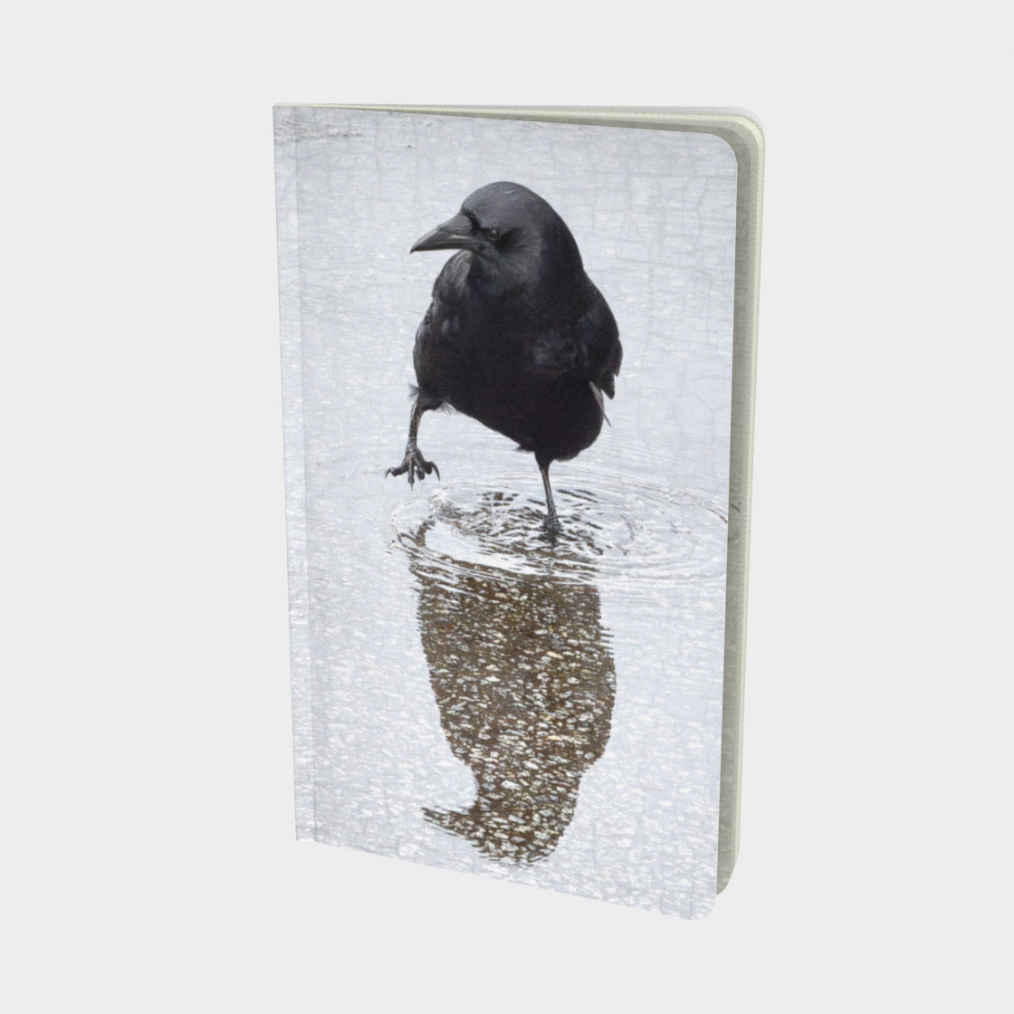 WADE IN - Small Notebook by June Hunter