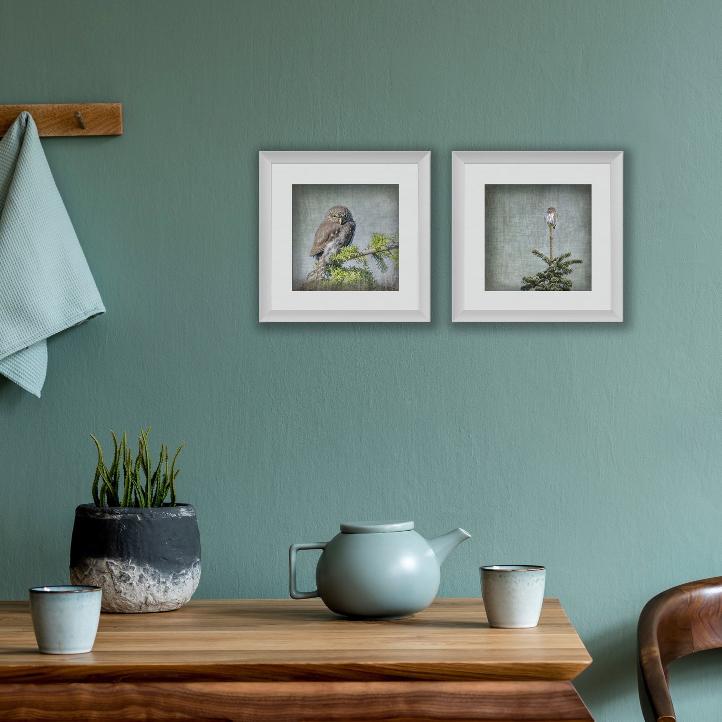 NORTHERN PYGMY OWL - Fine Art Print, Garden Birds Series