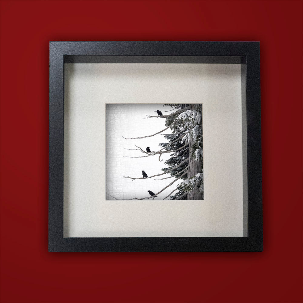 STRATA RAVENS - Fine Art Print, Raven Portrait Series