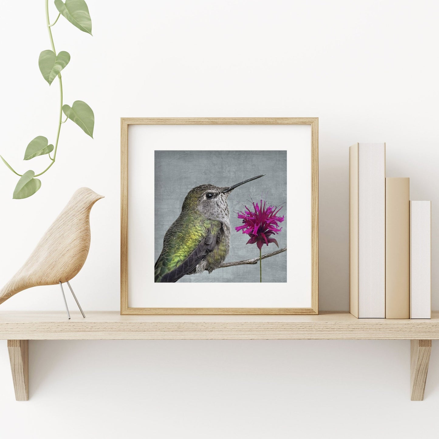 BEE BALM HUMMINGBIRD - Fine Art Print, Garden Birds Series