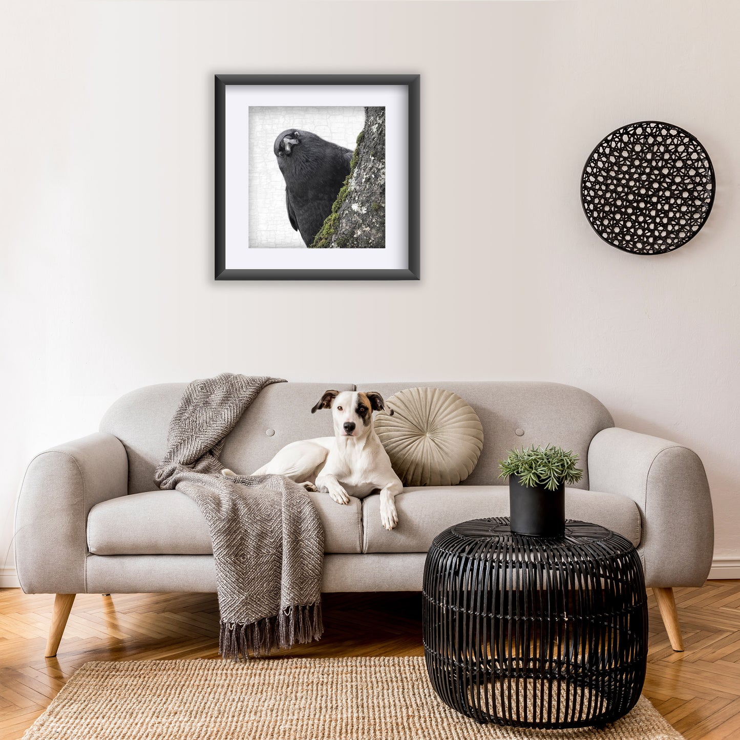 YOU ARE BEING WATCHED - Fine Art Print, Crow Portrait Series