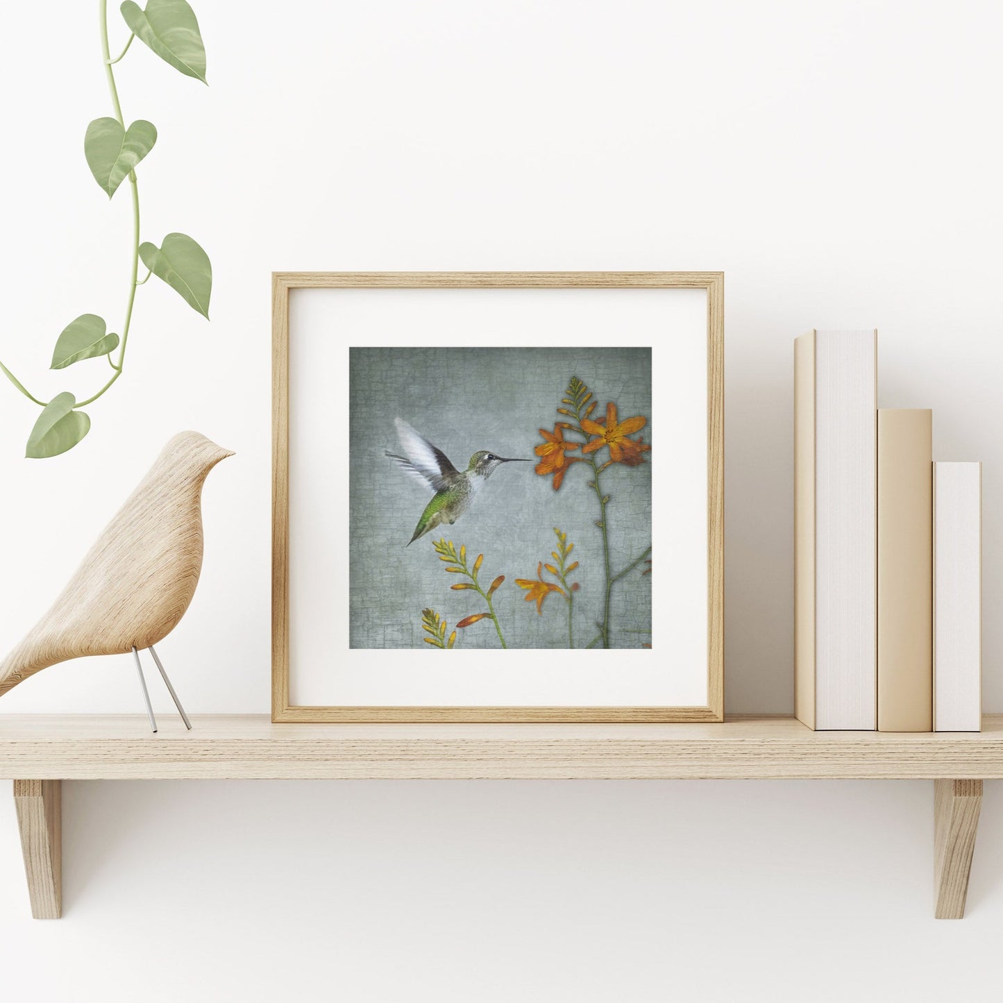 MONTBRETIA HUMMINGBIRD - Fine Art Print, Garden Birds Series