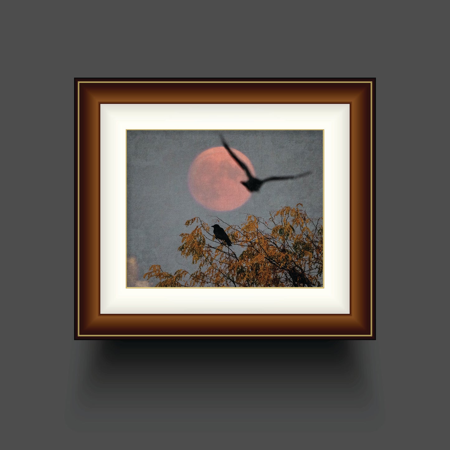 MOONRISE KINGDOM - Fine Art Print, Blue Crow Series