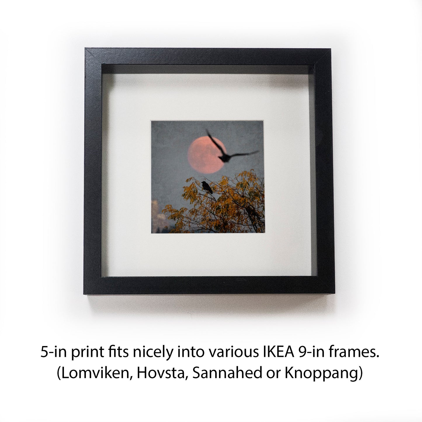 MOONRISE KINGDOM - Fine Art Print, Blue Crow Series