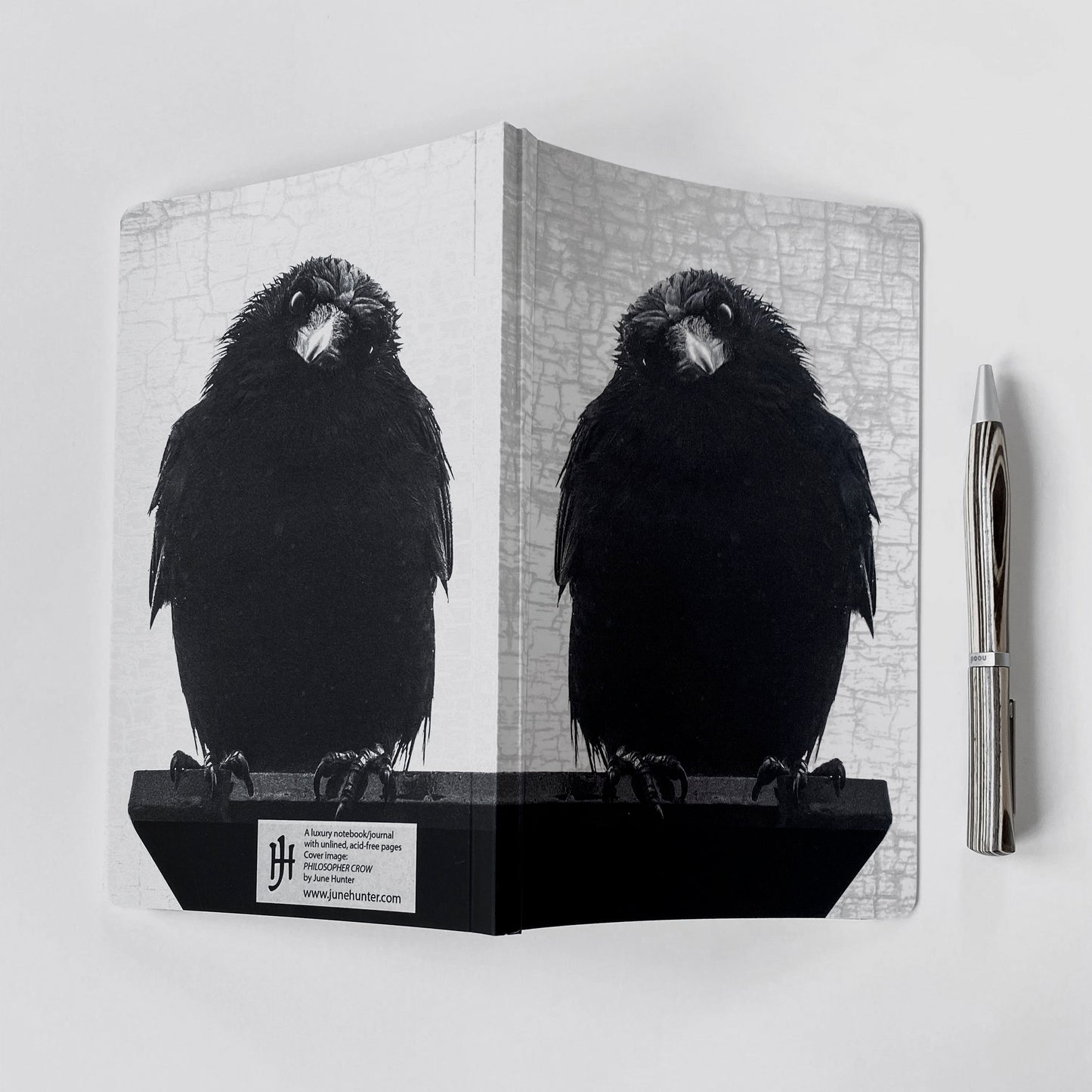 PHILOSOPHER CROW - Small Notebook by June Hunter