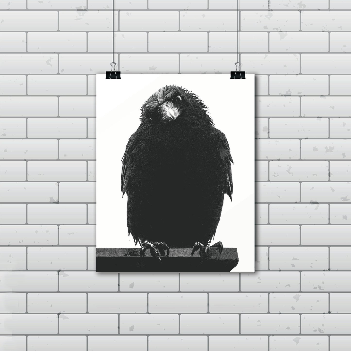 PHILOSOPHER CROW — Black & White Print