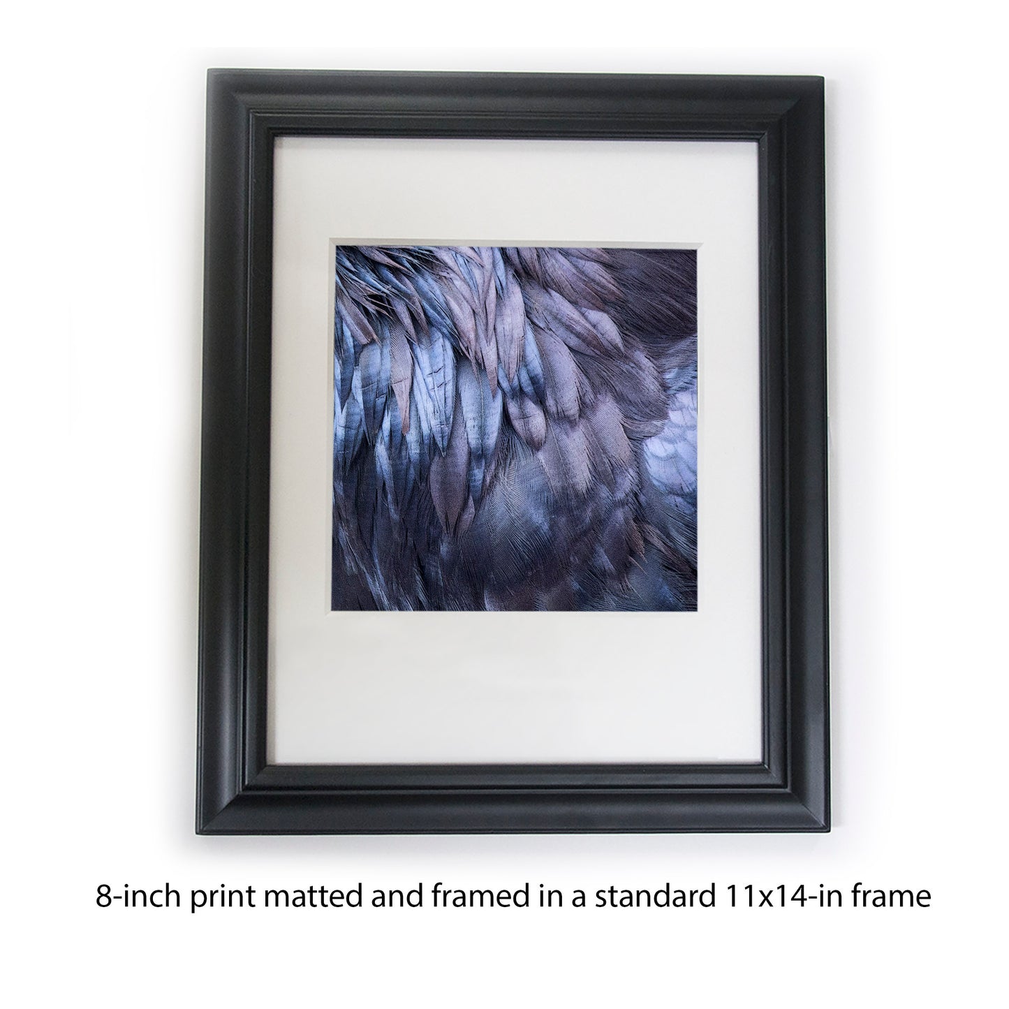 RAVEN FEATHERS - Fine Art Print, Raven Portrait Series