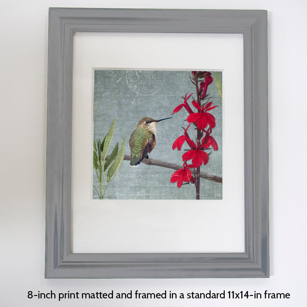 RUFOUS HUMMINGBIRD - Fine Art Print, Garden Birds Series