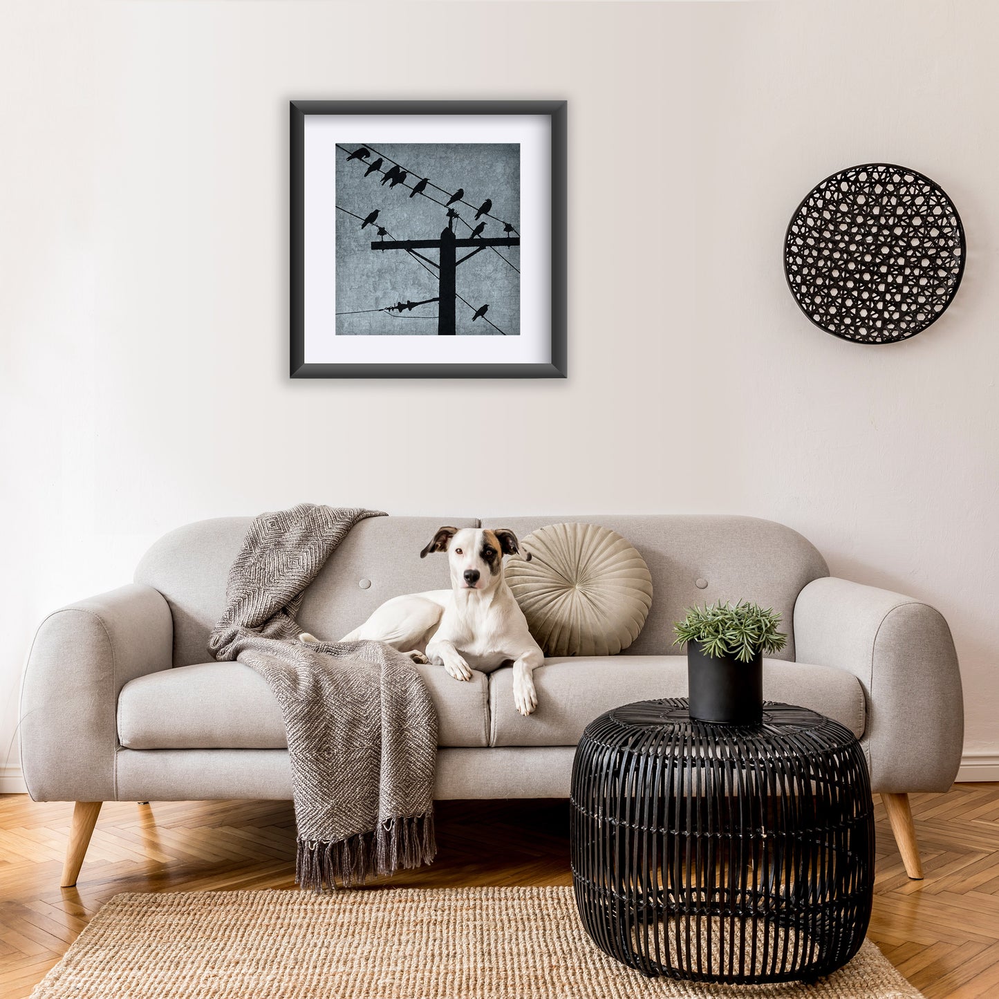 STOPOVER - Fine Art Print, Blue Crow Series