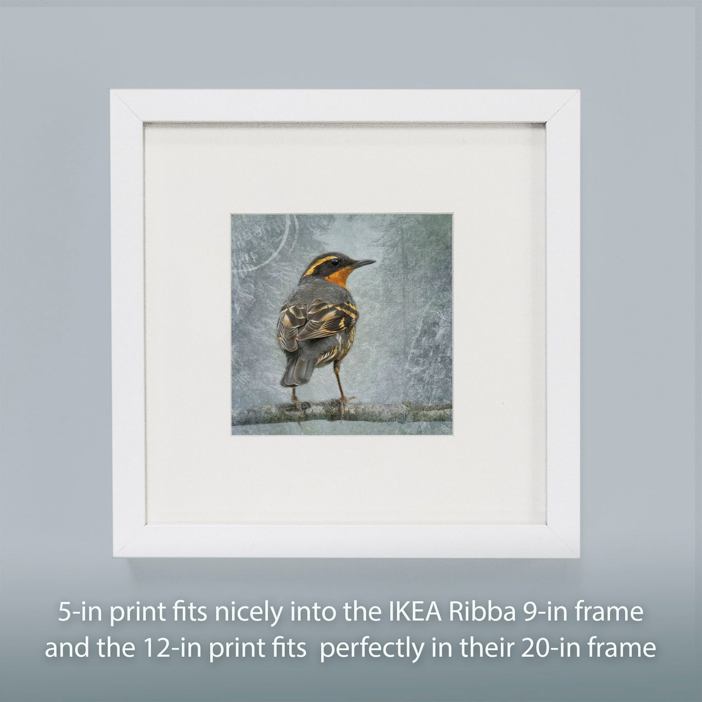 FOREST DREAMS - Fine Art Print, Garden Birds Series