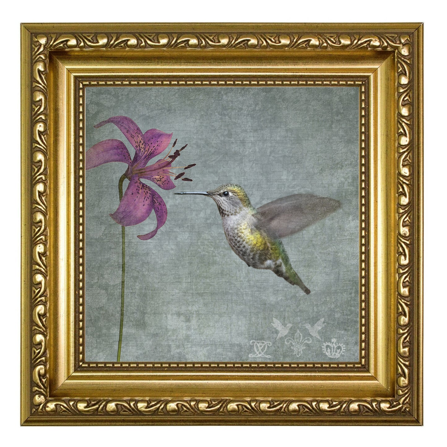 LILY HUMMINGBIRD - Fine Art Print, Garden Birds Series