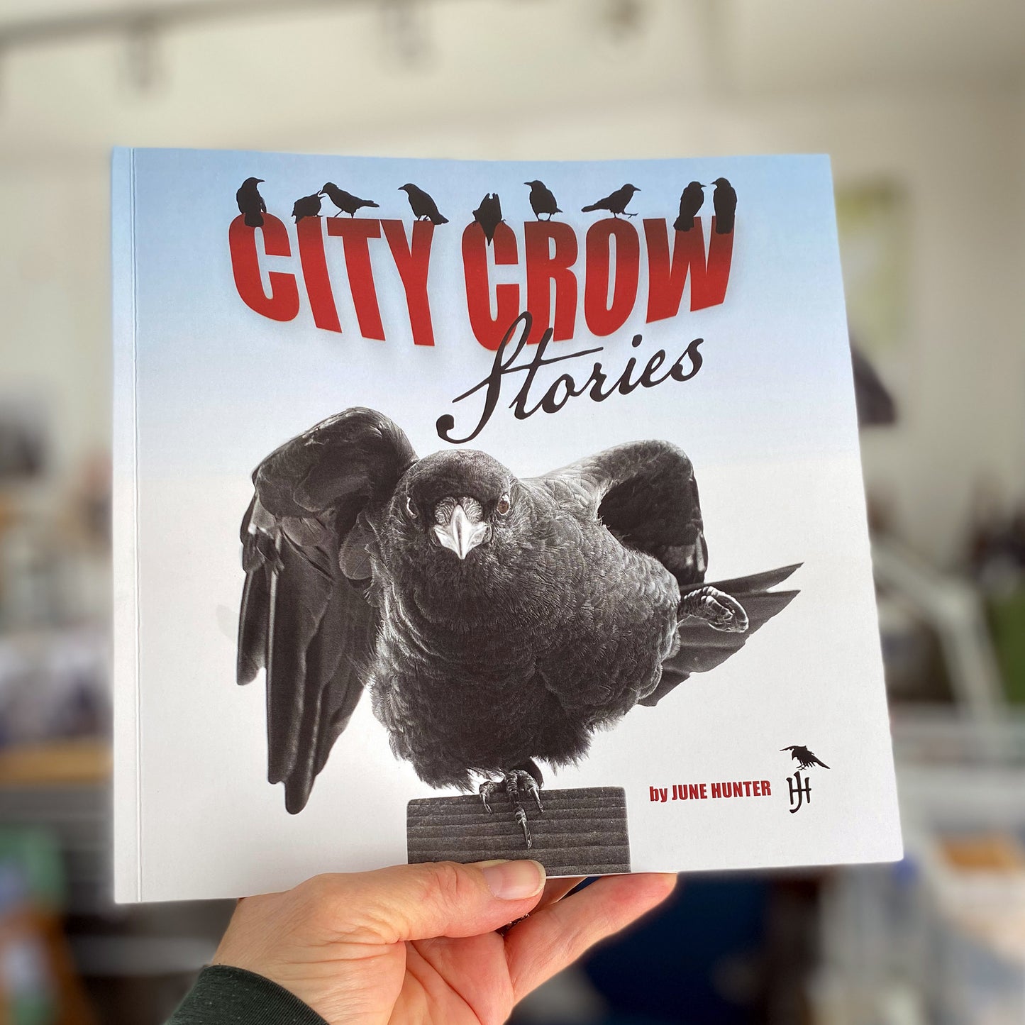 City Crow Stories in the Studio