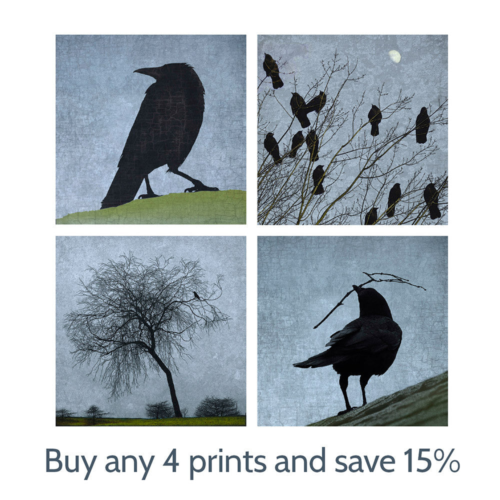 NEST - Fine Art Print, Blue Crow Series