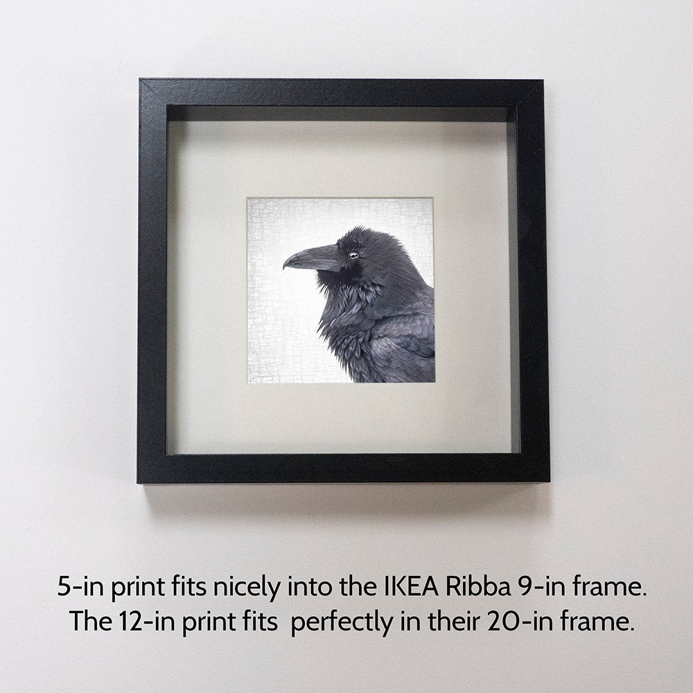 RAVEN REALM - Fine Art Print, Raven Portrait Series