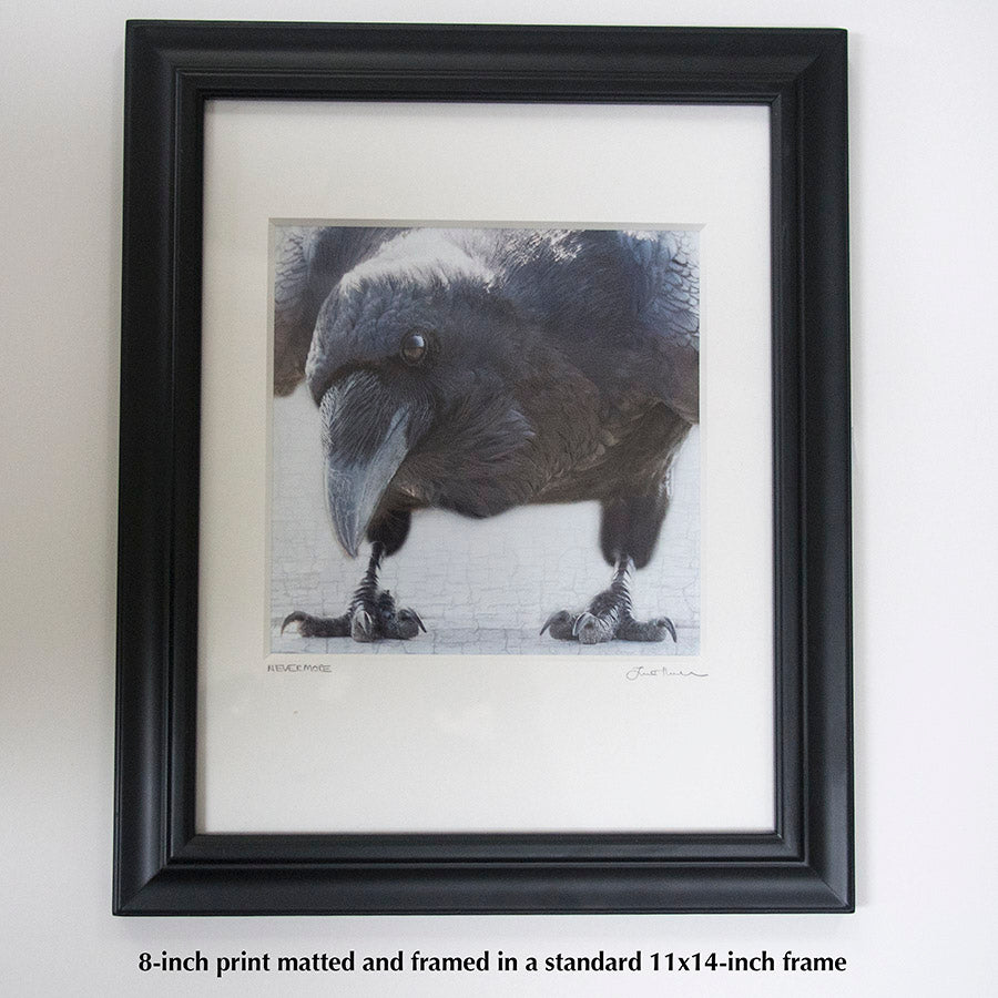 NEVERMORE - Fine Art Print, Raven Portrait Series