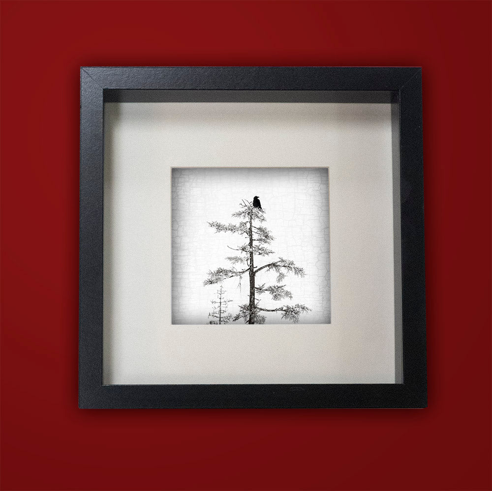 RAVEN PEACE - Fine Art Print, Raven Portrait Series
